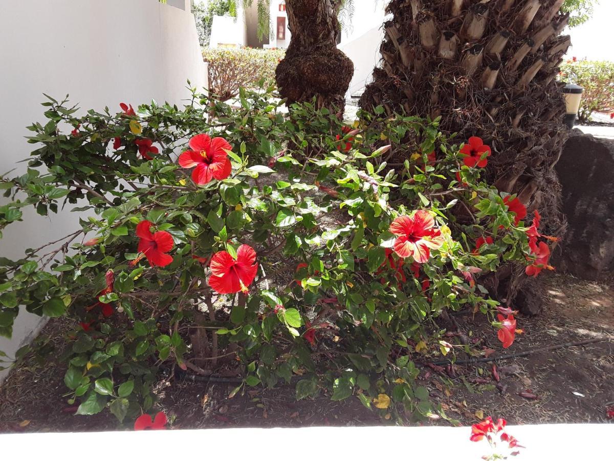 Le Parisien Apartment Costa Teguise Luaran gambar